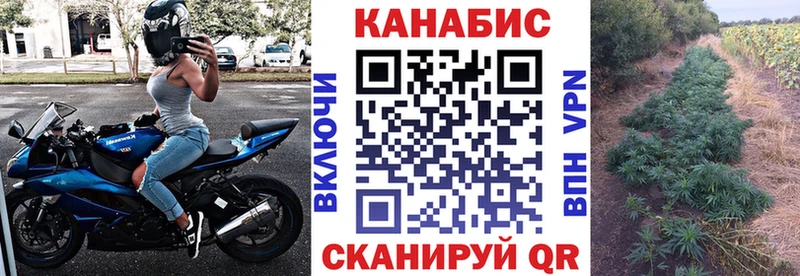 Купить наркотик Закаменск Псилоцибиновые грибы  Меф мяу мяу  Гашиш  OMG зеркало  Каннабис 
