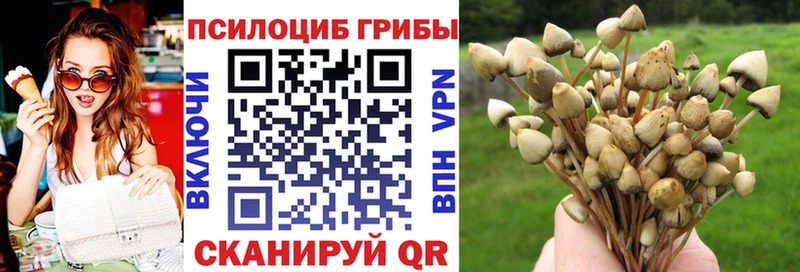 купить закладку Закаменск Псилоцибиновые грибы мицелий